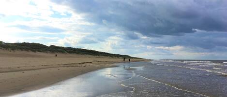 Playa en los alrededores