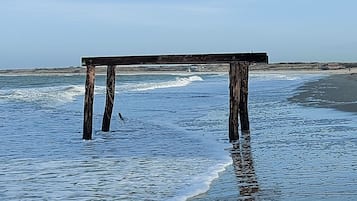 在海灘附近