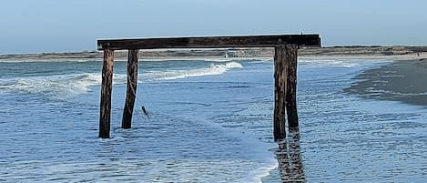 Nära stranden