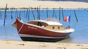 Um barco ancorado perto de uma praia arenosa com uma colina arborizada ao fundo.