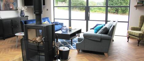 Fernseher, Kamin, Videospiele, DVD-Player