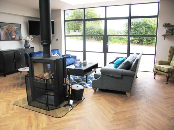 TV, fireplace, video games, DVD player