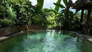 Una piscina cristalina con nenúfares y abundante vegetación a su alrededor.