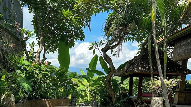 Una piscina cristalina rodeada de exuberante vegetación tropical y una estructura de techo de paja.