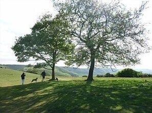 Property grounds - Outstanding Self Catering Cottage With Beautiful Gardens (Albourne)