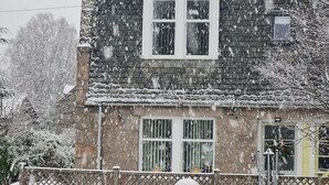 Eksteriør