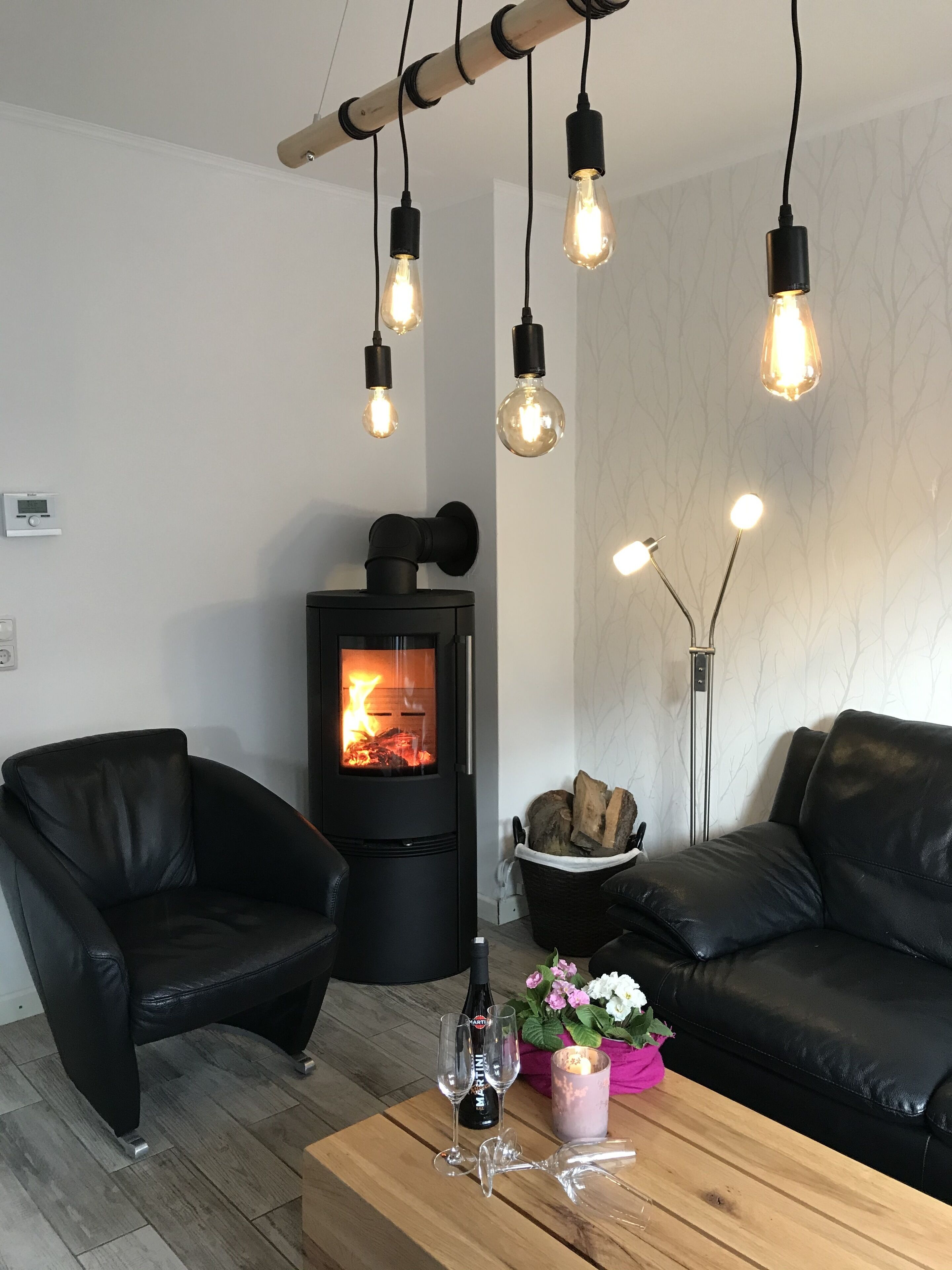 Smart TV, fireplace, DVD player, books