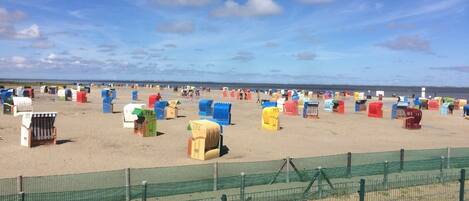 Playa en los alrededores y camastros