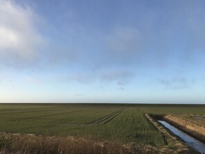 Playa en los alrededores y camastros 