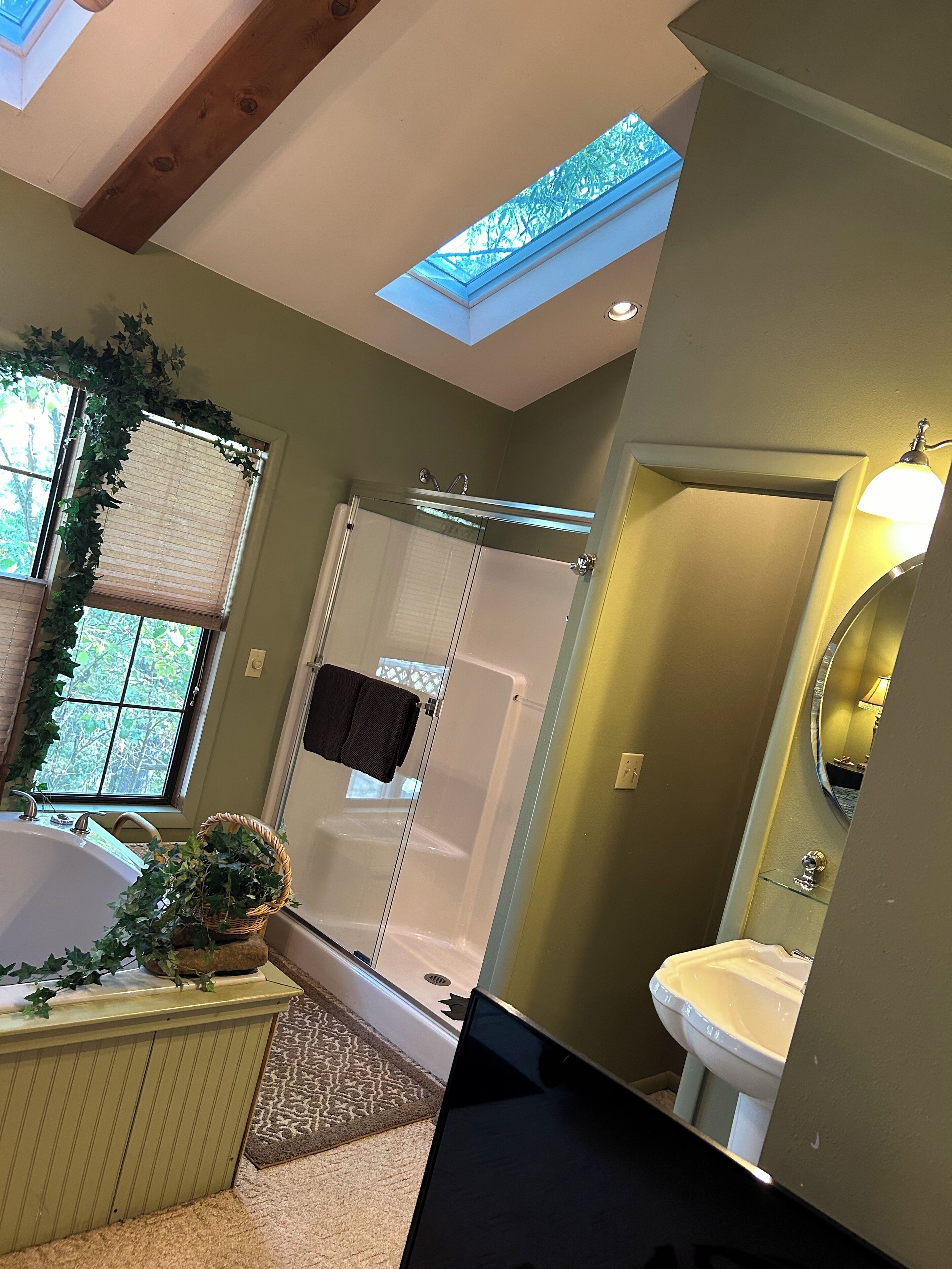 Shower, jetted bath, hair dryer, towels