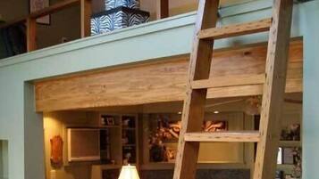 Télévision, cheminée, lecteur de DVD, livres