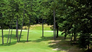 A golf course with a well-maintained green, sand bunkers, and tall trees. -  Let the vacationing begin! (Hot Springs Village)