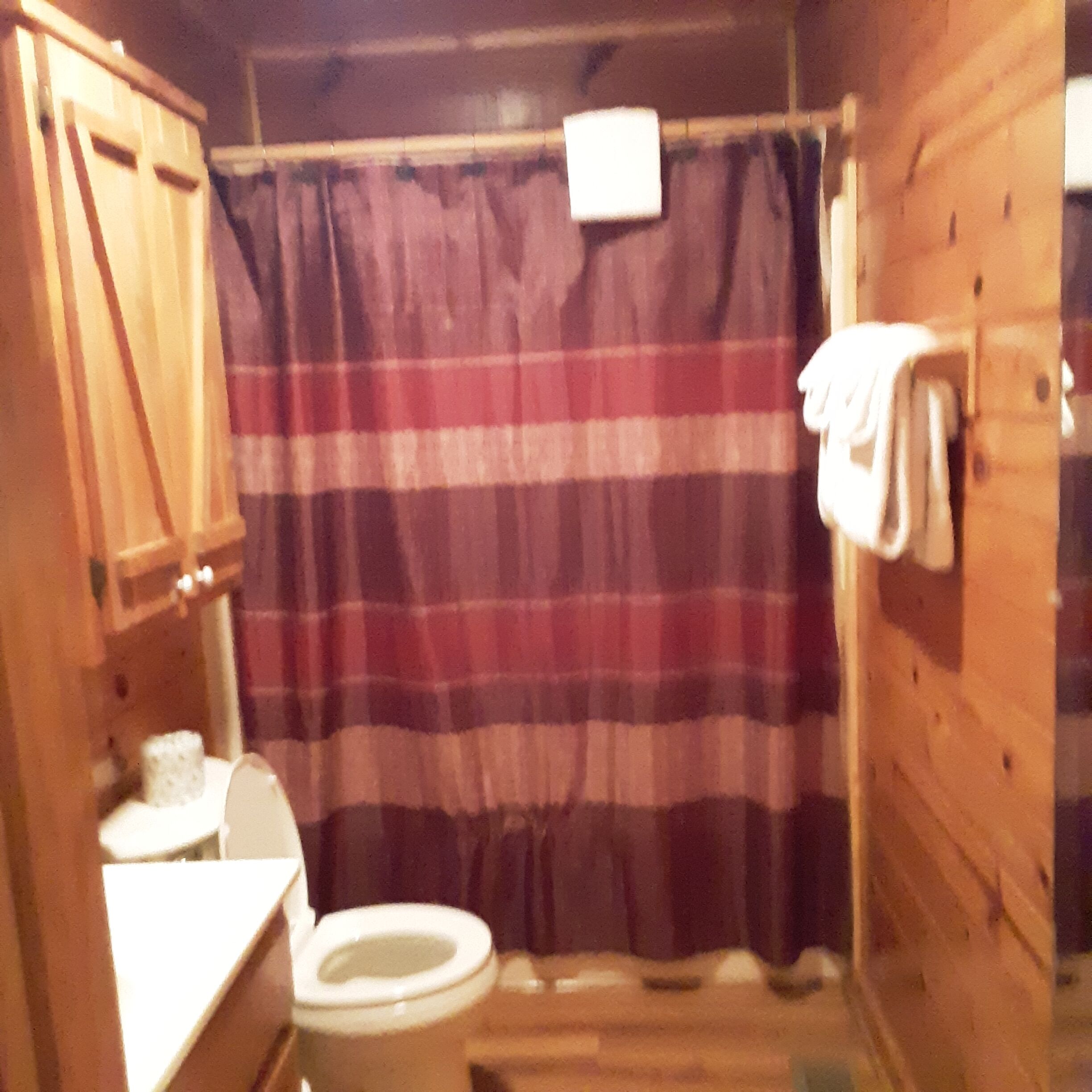 Een kleine, houten badkamer met een ruitjes douchegordijn, een toilet en een handdoekhouder.