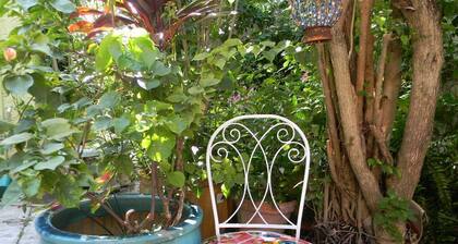 Beautiful & Large Bedroom in B&B in Exquiste Tropical Home- Centrally located