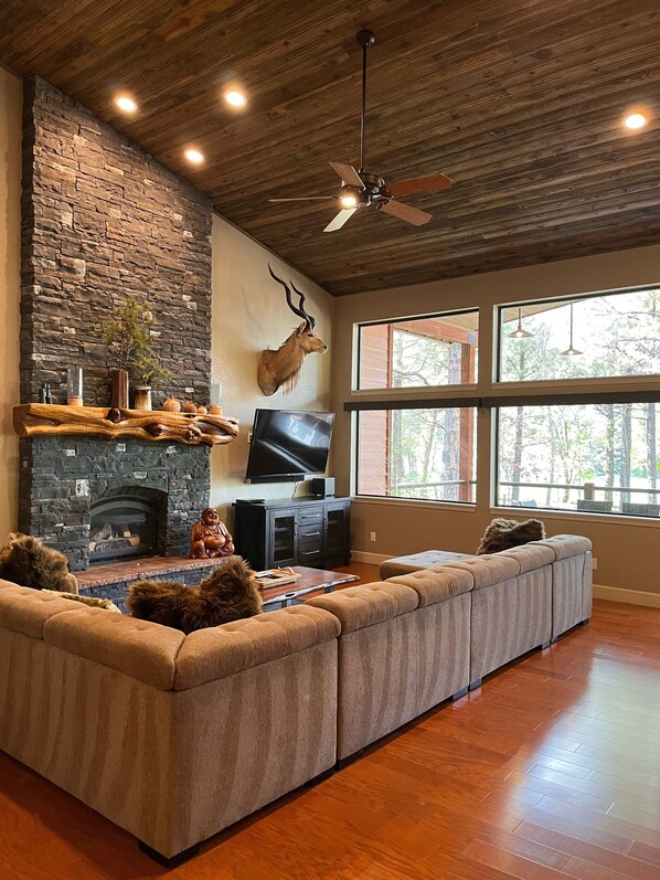 تلفزيون ذكي، مدفأة، مشغل دي في دي، مكتبة فيديو