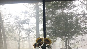 Une table ronde en bois, accompagnée de deux chaises, un vase rempli de tournesols et une vue sur les arbres, visible à travers une fenêtre.