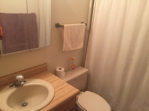 Combined shower/bathtub, hair dryer, towels, soap - Cozy large studio condo. (Winter Park)