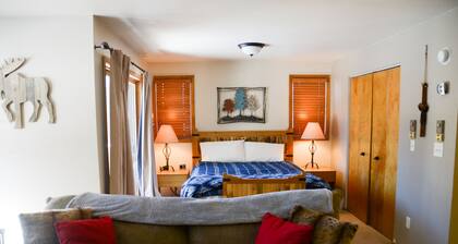 Cozy large studio condo.