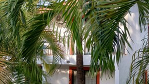 A building with a white exterior, red accents, and a palm tree in the foreground. - Across from Coco Beach! (Playas del Coco)