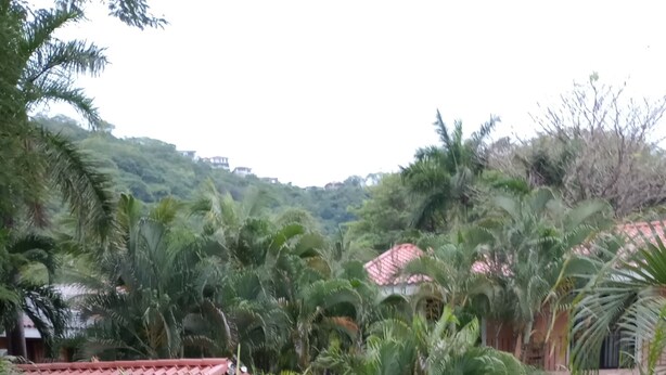 A lush garden with palm trees, a stone pathway, and a building with a red roof in the background. - Across from Coco Beach! (Playas del Coco)