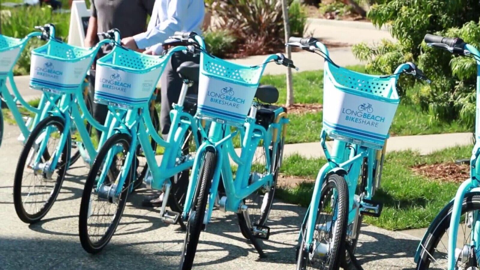 En række turkis cykler med kurve, mærket "LONG BEACH BIKE SHARE", parkeret på fortovet.