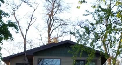 Yksityinen Elk Lake rantahotelli, lähellä Traversea, syksyn viikkoja 2019