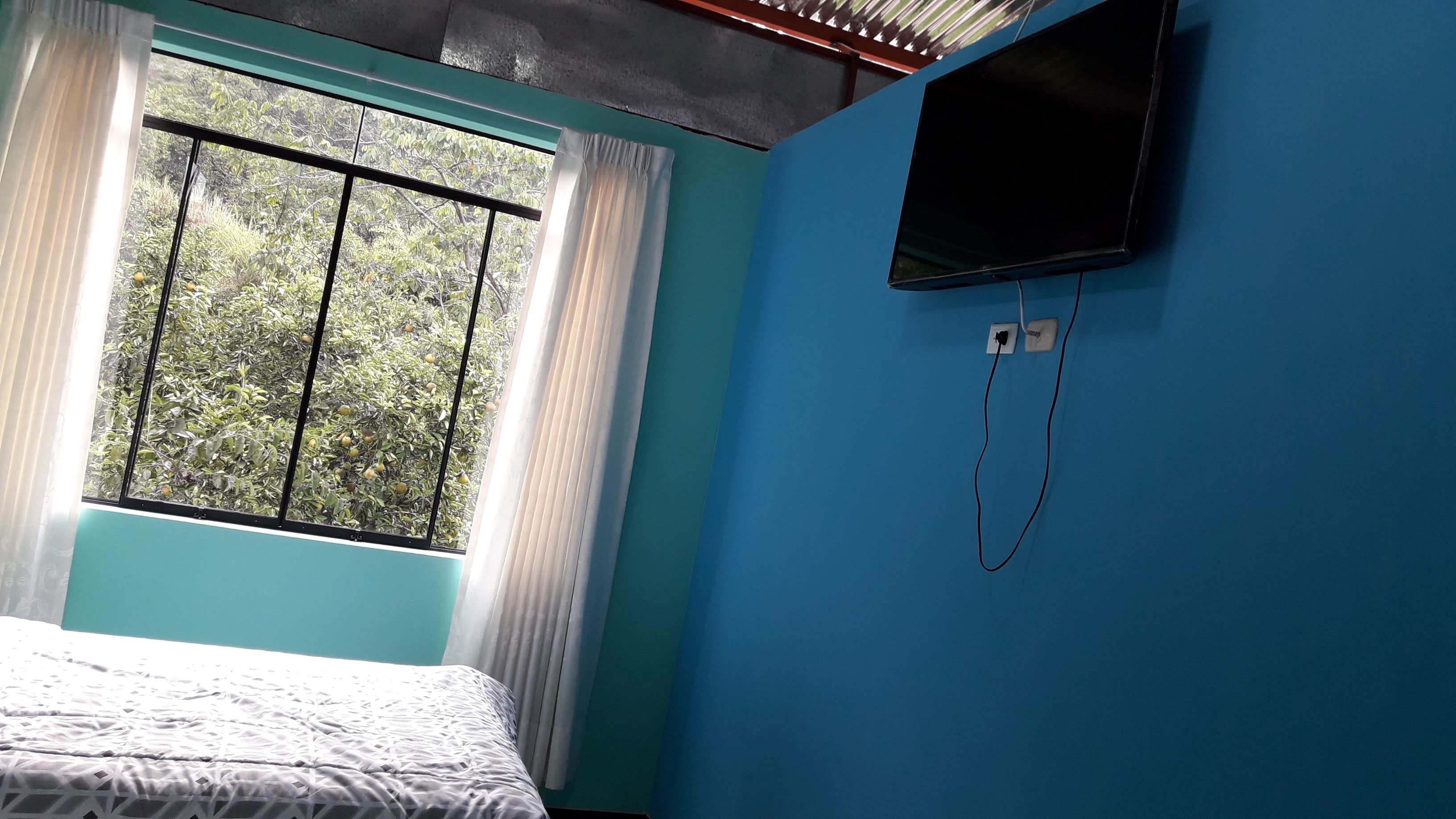 A room with a bed, a window with curtains, and a TV mounted on the wall.