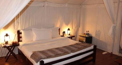 Kumbh Mela Cottage Accomodation