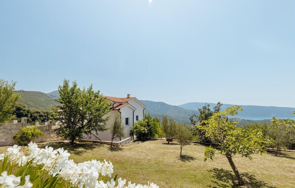 Property grounds - Cozy home in Herceg Novi (Herceg Novi)