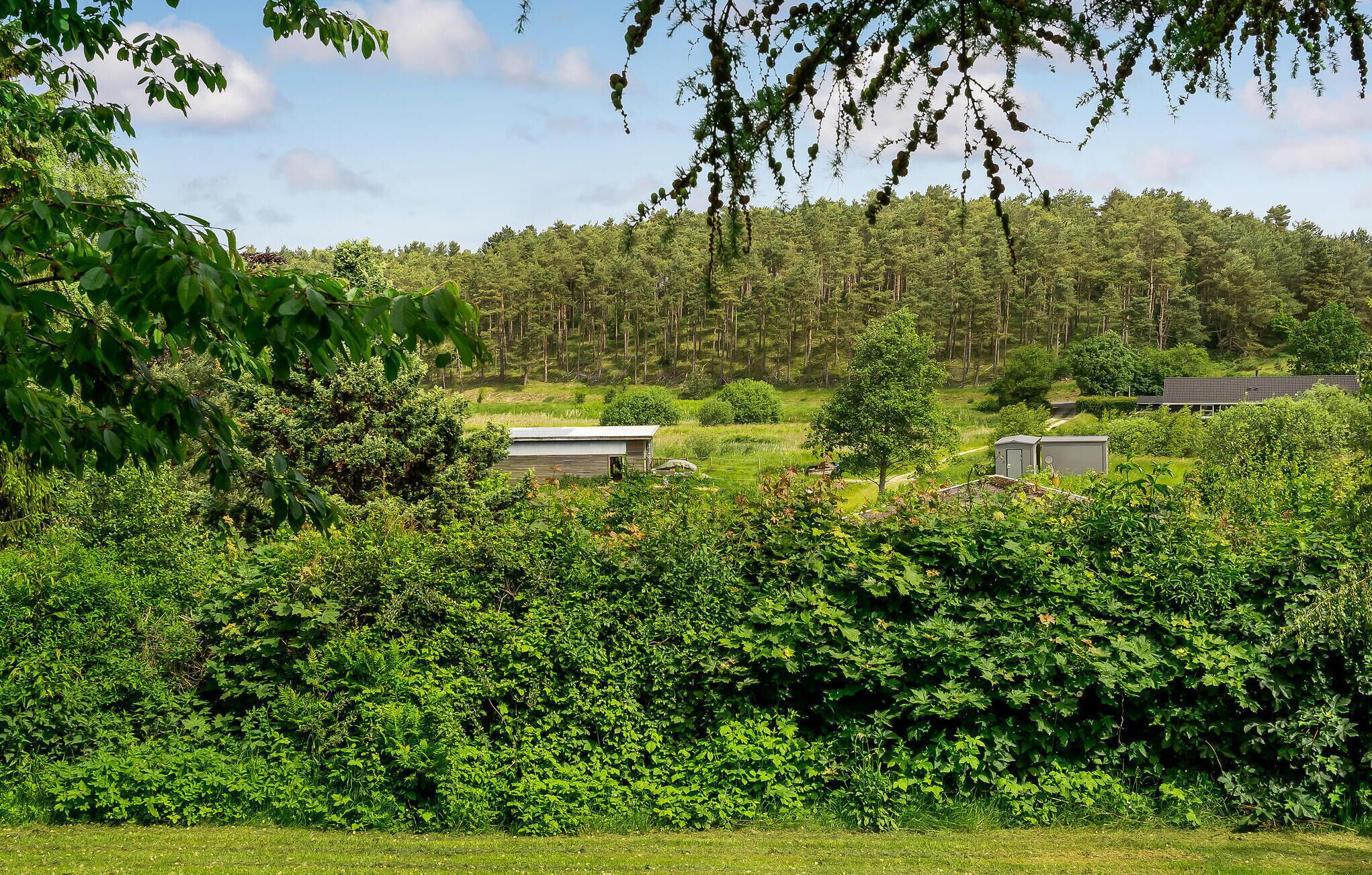 Ländliche Szenerie mit einem Haus, umgeben von dichtem Grün und einem Wald im Hintergrund.