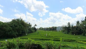 A lush green rice paddy field with a clear sky and scattered clouds. - Sunari Guest House (Canggu)
