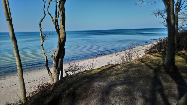 En strand med klart vand, træer og en sandet kystlinje.