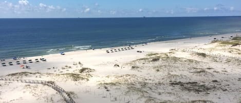 On the beach