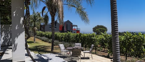 Villa, Non Smoking | Vineyard view