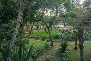 Standard Double Room | Pemandangan taman