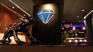 A black and white tiger statue in front of a wall with a blue diamond logo. - Diamond Hill (Vlorë)