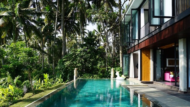 En swimmingpool omgivet af frodig vegetation og moderne arkitektur.