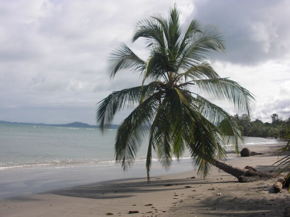 Beach nearby, beach towels