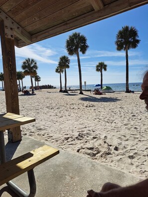 A beach with palm trees, a wooden bench, and a green tent. - Spectacular Waterfront Home! Pool, Dock, Kayaks, Canoe, Bikes! Quick to Gulf (Homosassa)