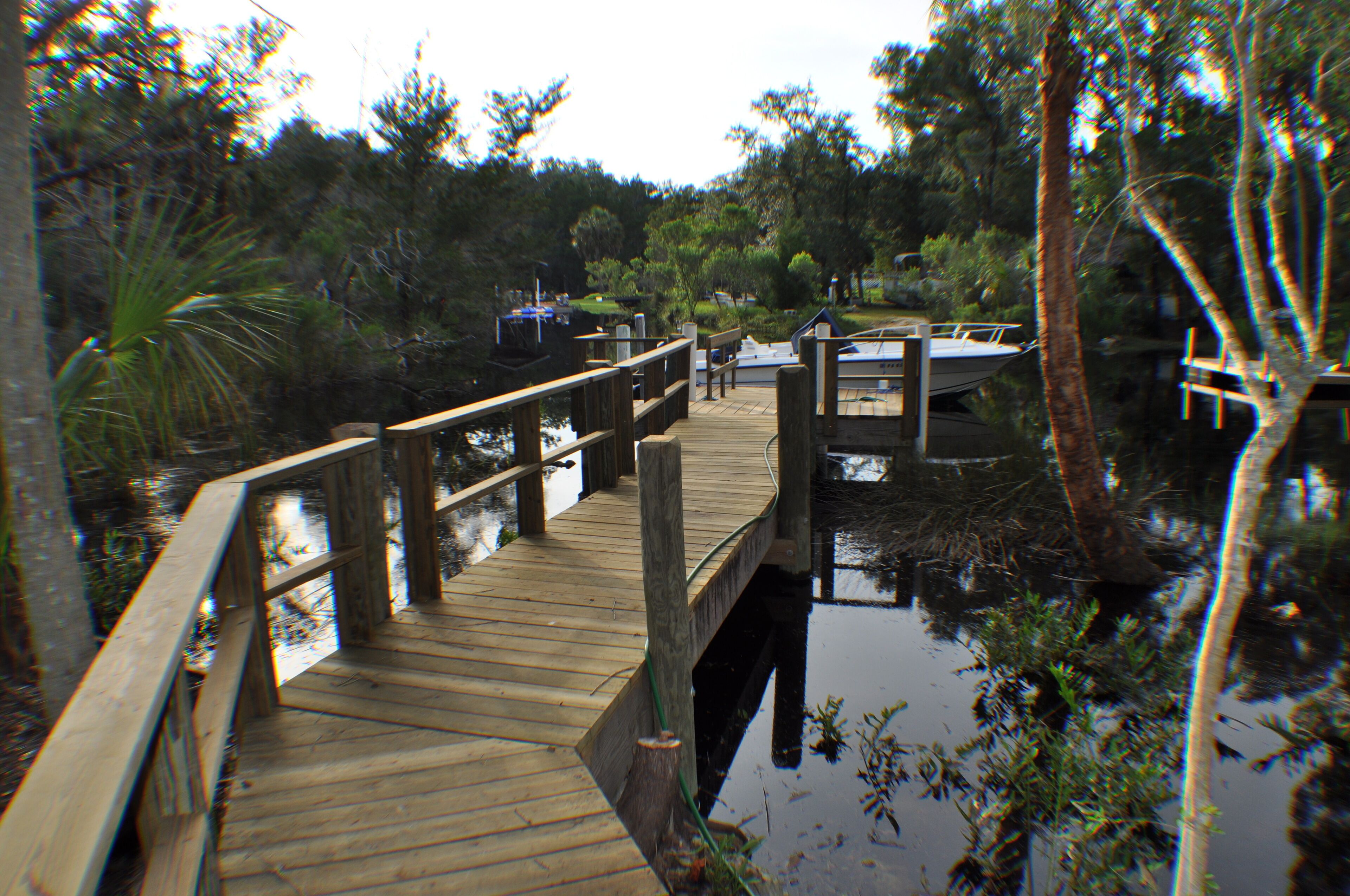 A wooden dock extending over calm water, surrounded by dense foliage.