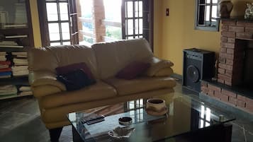 TV, fireplace, books