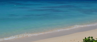 Séjour confortable, tropical, en bord de mer