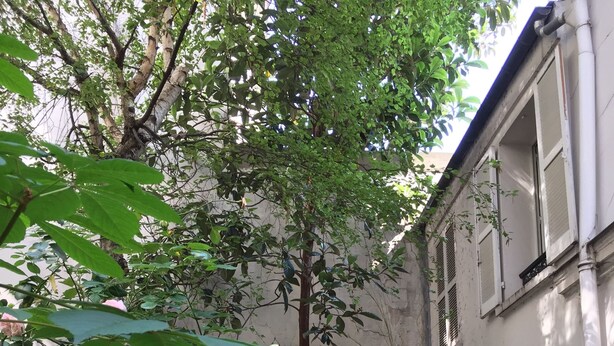 A narrow stone pathway leading to a building with a white exterior and multiple windows. - Small house, completely reniewed, at the back of a silent yard, with trees. (Paris)