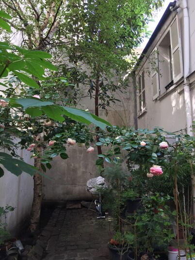 Small house, completely reniewed, at the back of a silent yard, with trees.