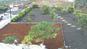 Un jardin sur le toit, agrémenté de différentes plantes et d’une petite statue représentant une personne.