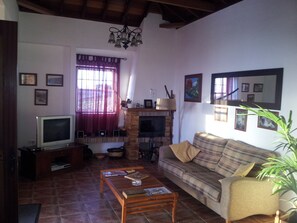 Smart TV, fireplace, DVD player, books