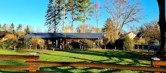 Holidays with children and dogs in a forest idyll