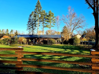 Holidays with children and dogs in a forest idyll