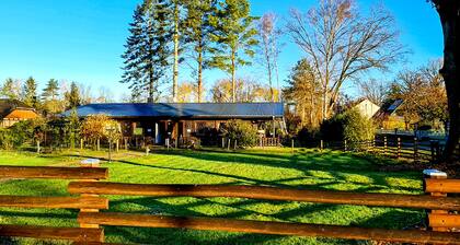 Ferienhaus-Pannier IV: Lomat lasten ja koirien kanssa