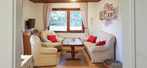 TV connectée, lecteur de DVD, livres, vidéothèque